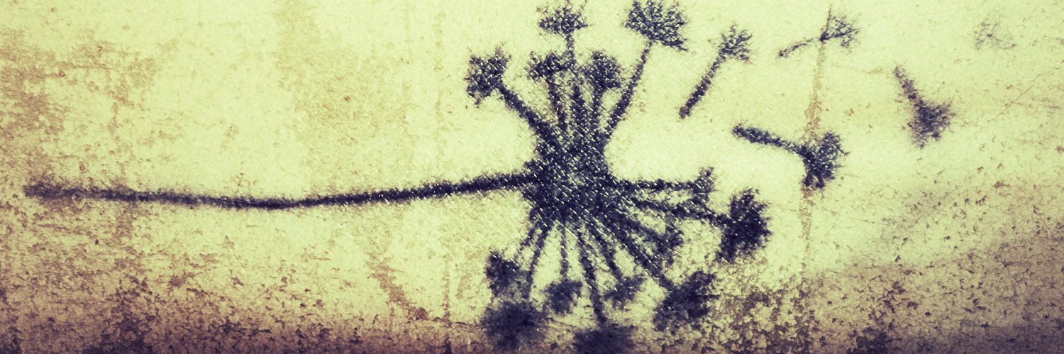 FeraBogdan's profile banner image