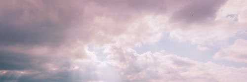 woods_cat's profile banner image
