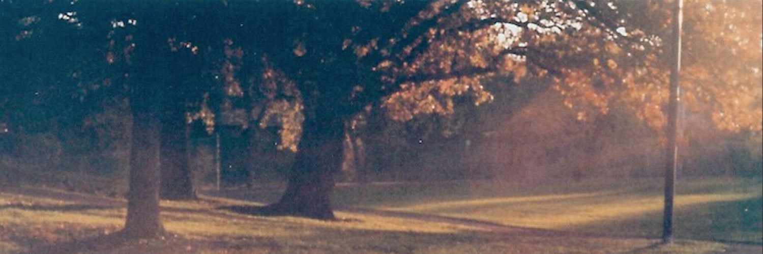 luukeuu's profile banner image