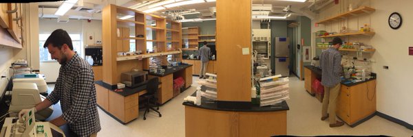 biotaxis Profile Banner