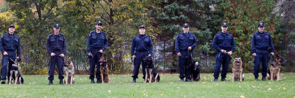 Toronto Police K9 banner