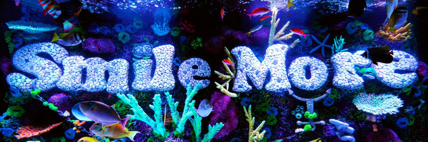 The Smile More Store banner