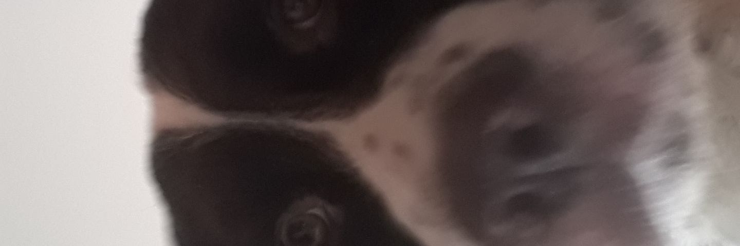 Sebastián Hernández Arroyo banner