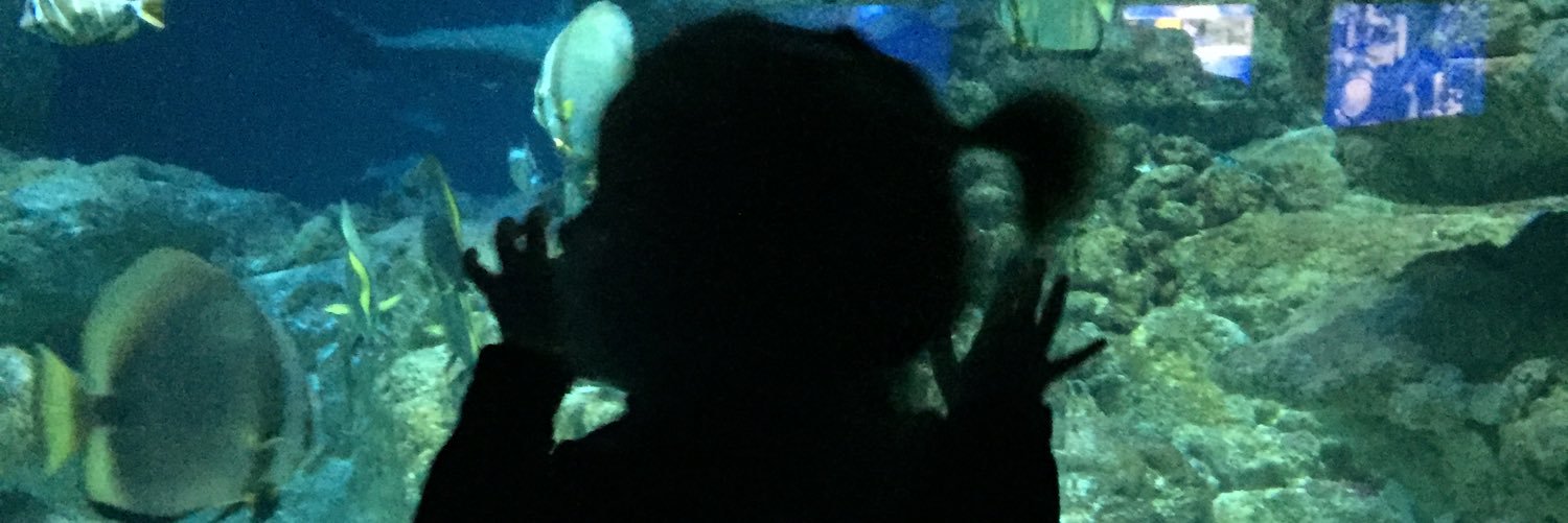 WonderOmmi banner