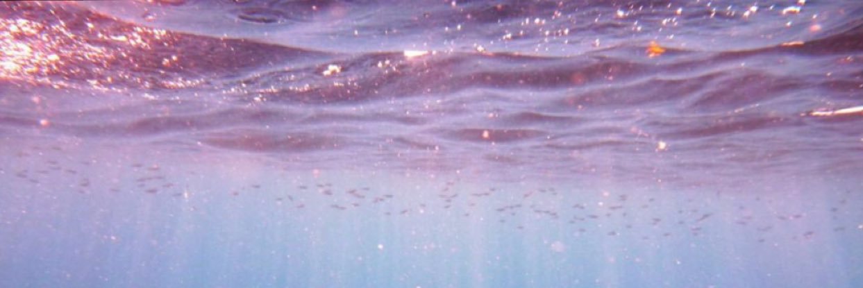 Ariana Forbes banner