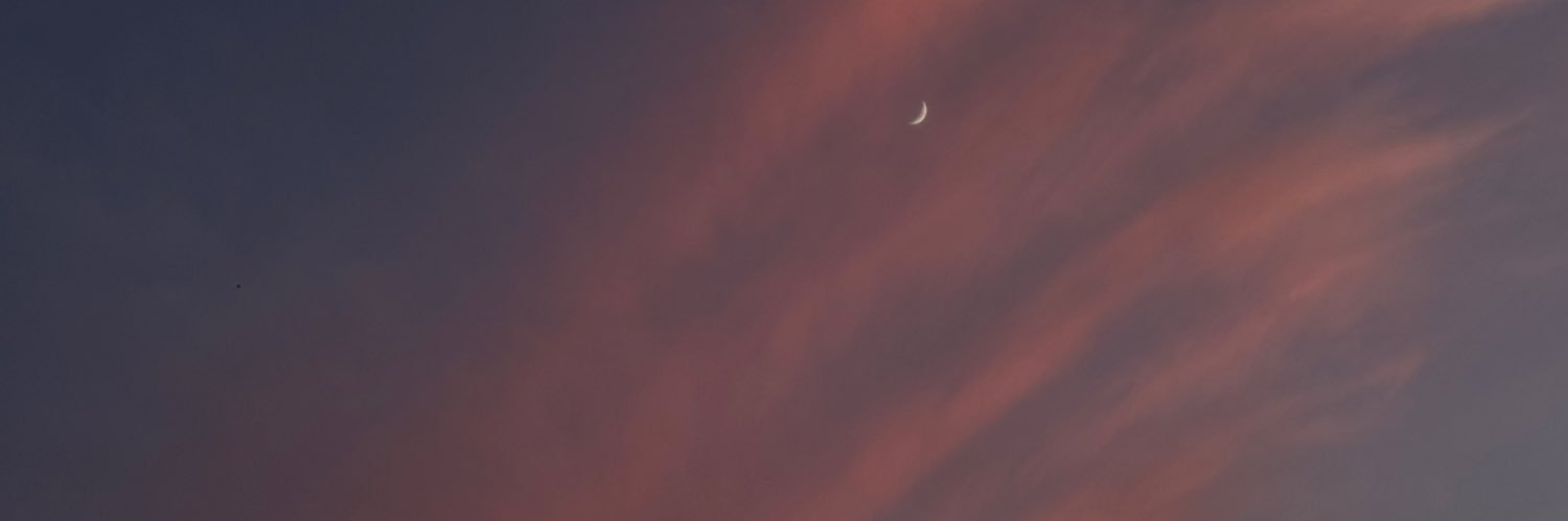 MargaridaFaria8's profile banner image