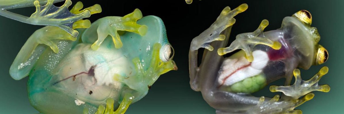 yasmini ⋆ ᶻ 𝗓 𐰁 banner