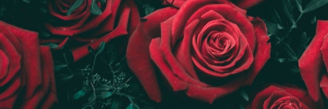 carlasanz57's profile banner image
