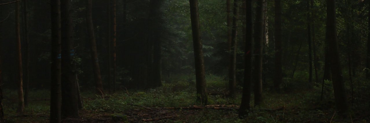 CouldBeLauren's profile banner image