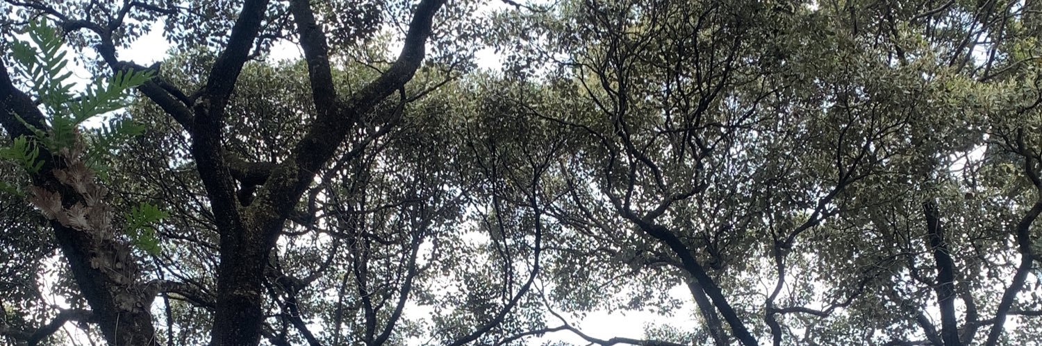 Nuetizen's profile banner image