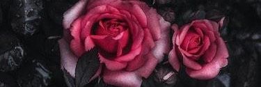 WalhWawa's profile banner image