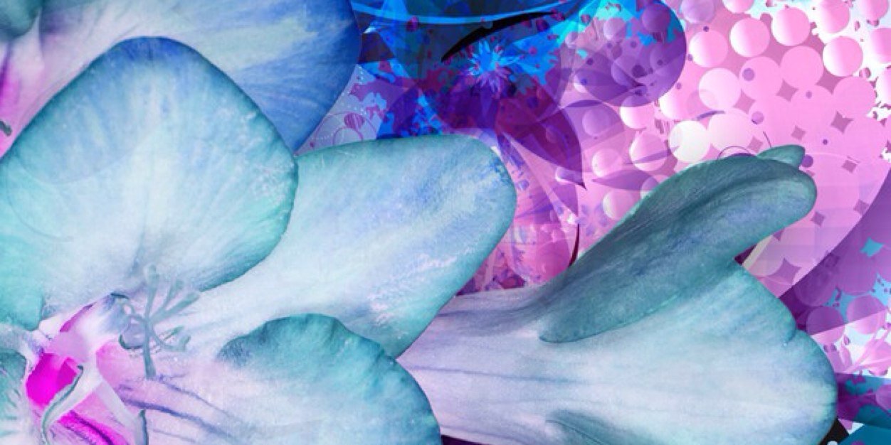 HouleSabrina's profile banner image