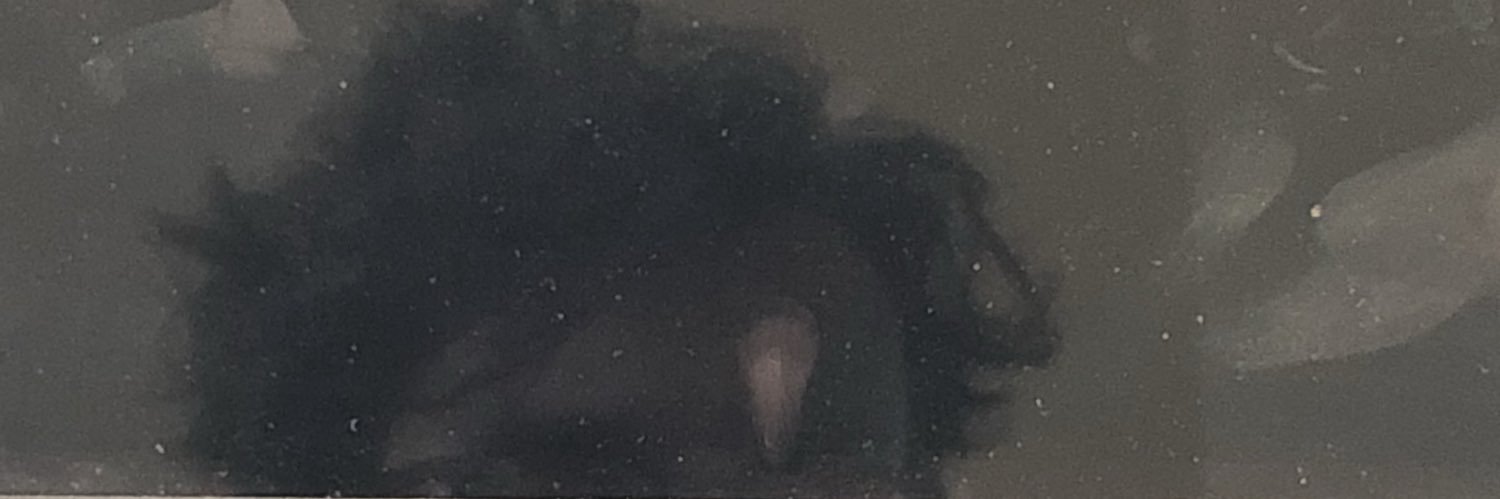 ostarellone's profile banner image