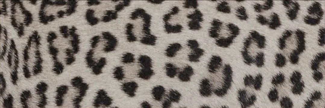 _jannabelle's profile banner image