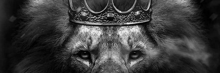 zwanedp's profile banner image