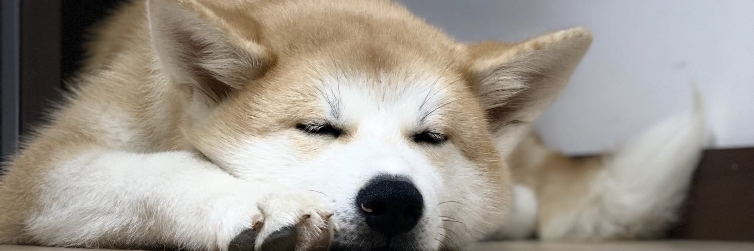 LauMarce_'s profile banner image
