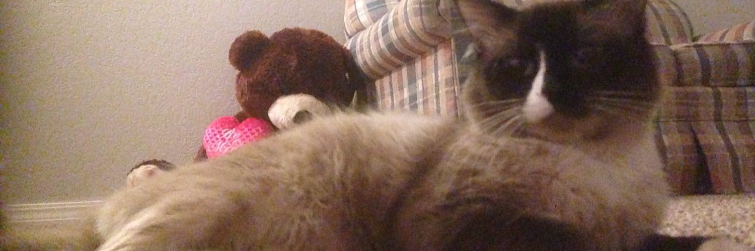 caaitliinb's profile banner image