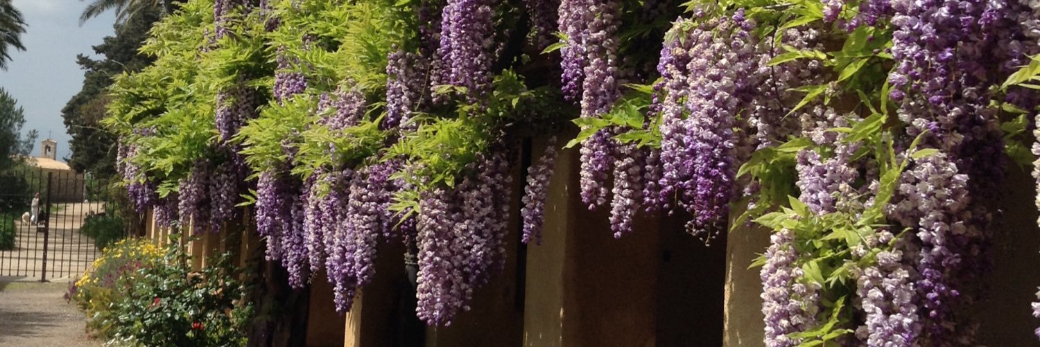 Christine Lee 🇨🇦🇬🇧 banner