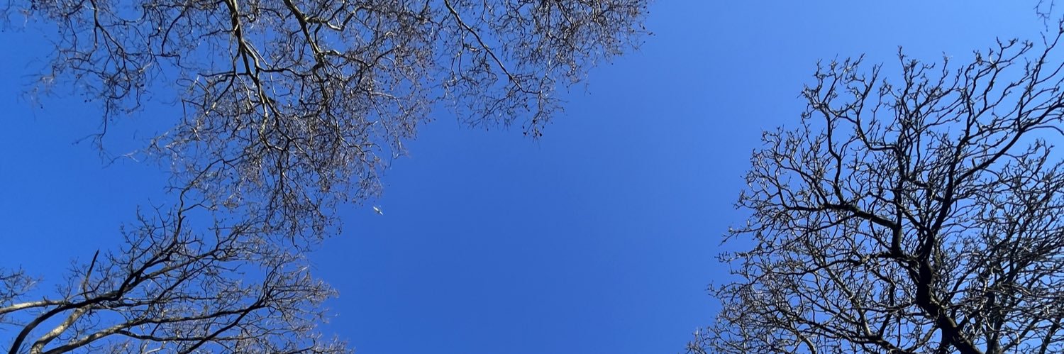 Gonçalo Louzada banner