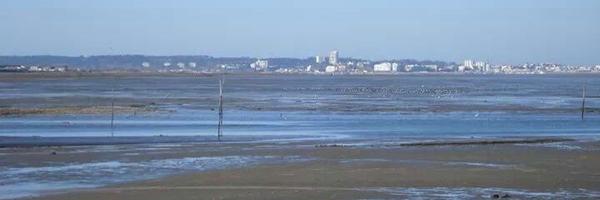 totokatia Profile Banner