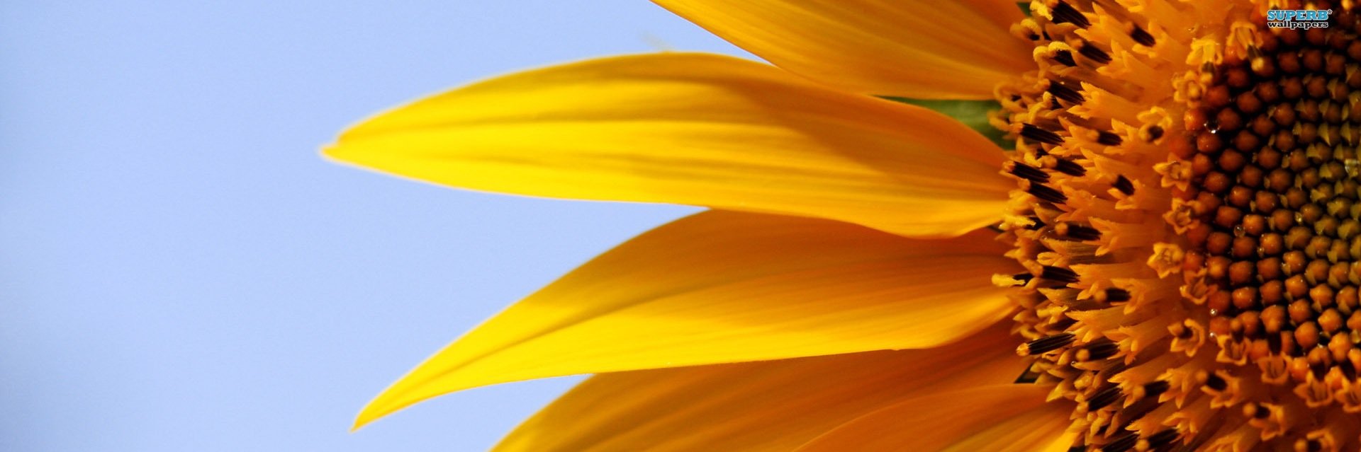 MartinaMNAPR's profile banner image