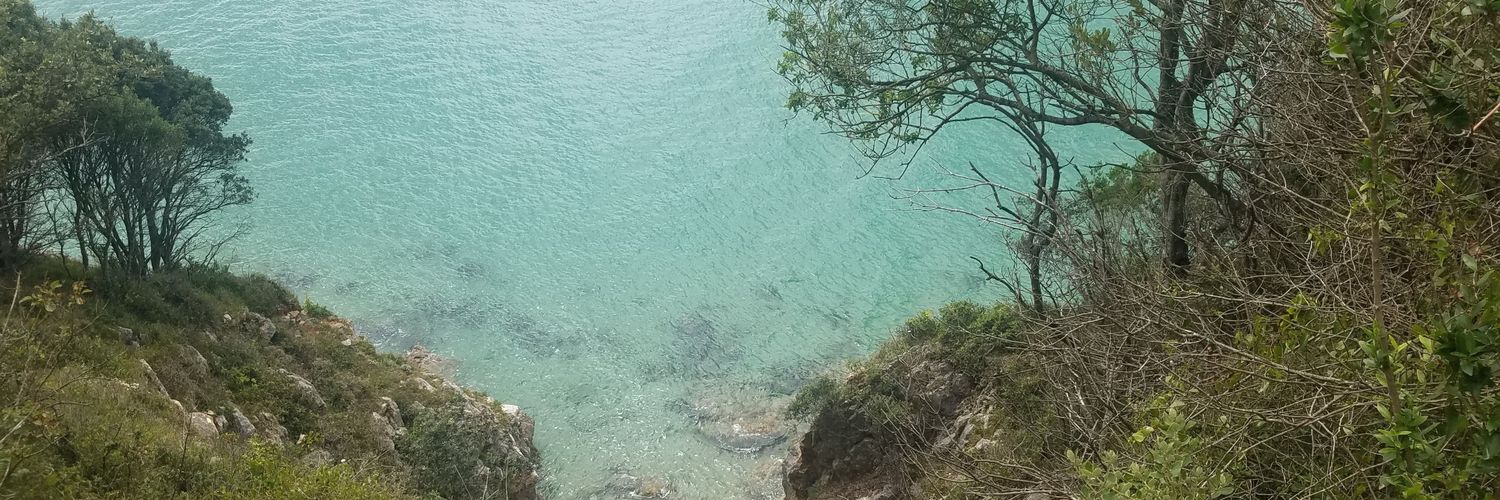 castrokarol's profile banner image