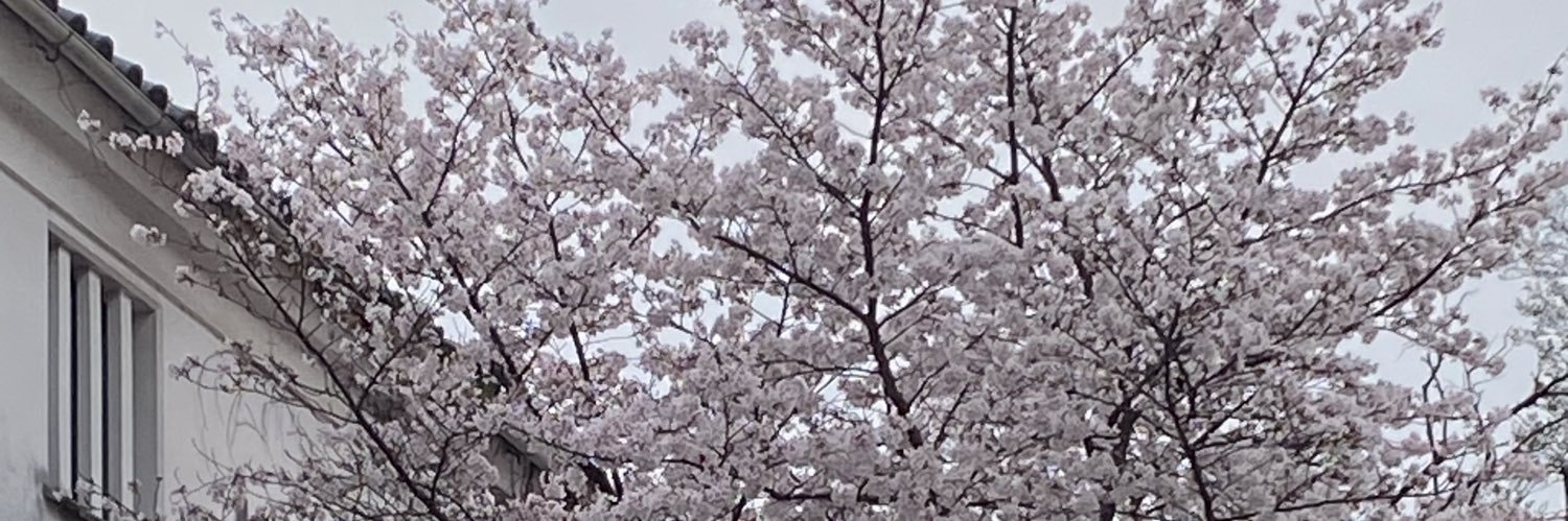 じゃすみん banner