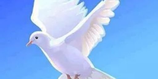 kinuthiajohnso1's profile banner image