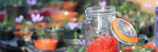 CroydonSaffron Profile Banner