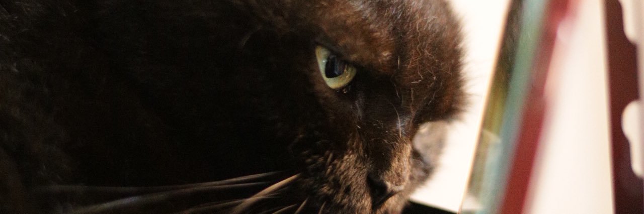 NYXKI's profile banner image
