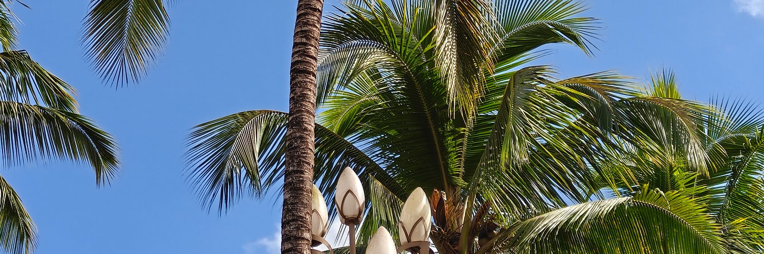 DreamTraveler banner