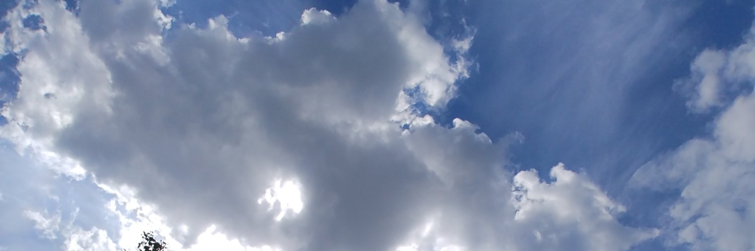 get1001tips's banner