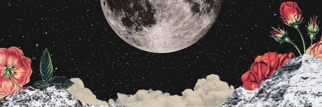 xohaills's profile banner image