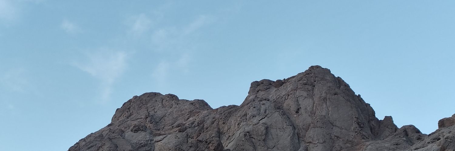 Alireza banner
