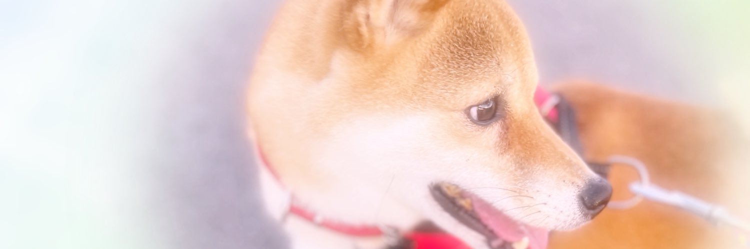 hotokaho's profile banner image