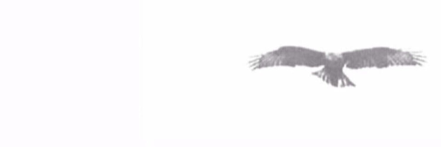 ibrahimalosilan's profile banner image