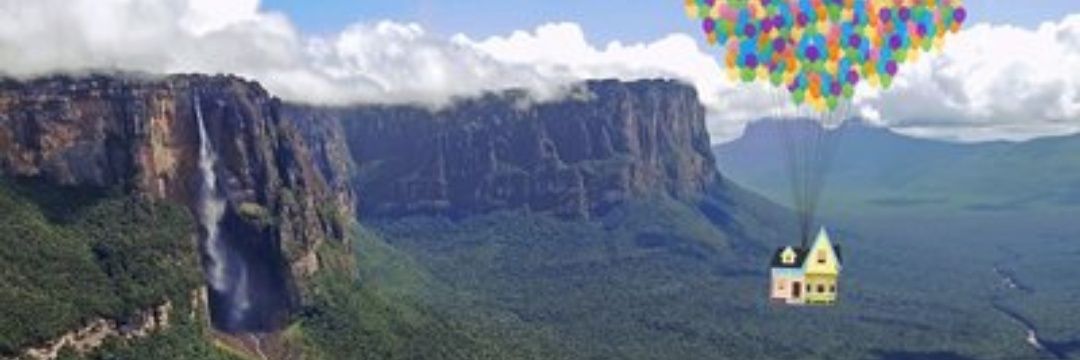 AnaCenedese's profile banner image