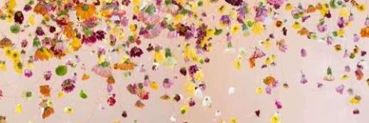 chibibell's profile banner image