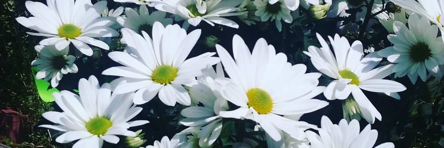 Comedianish_'s profile banner image