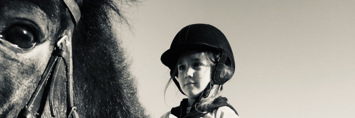 severcigdem's profile banner image