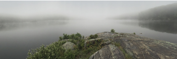 RozenMDFAAHPM Profile Banner