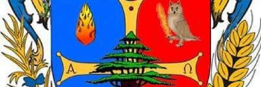 Amyorgo's profile banner image