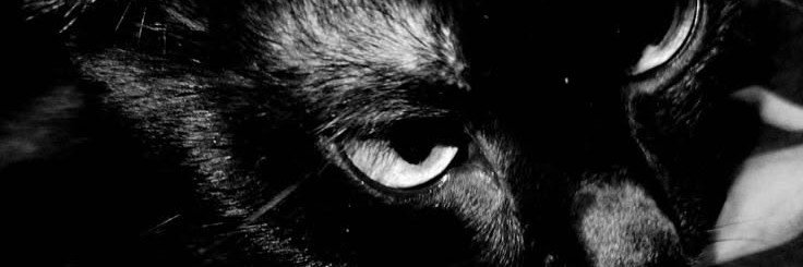 Juyeonnbz's profile banner image