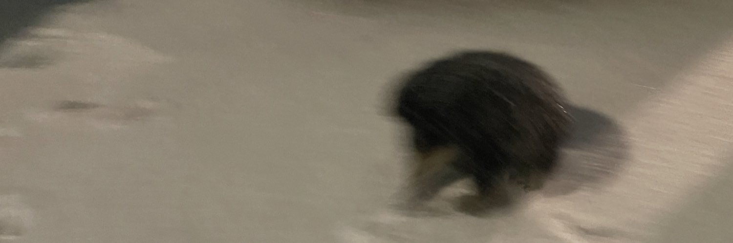 donbigpp's profile banner image