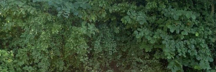 Sector51Ops's profile banner image