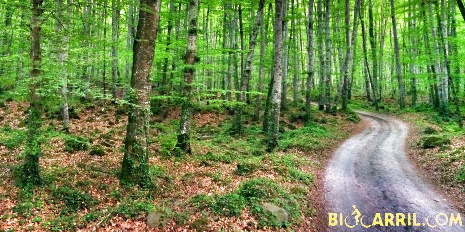 bicicarril's profile banner image