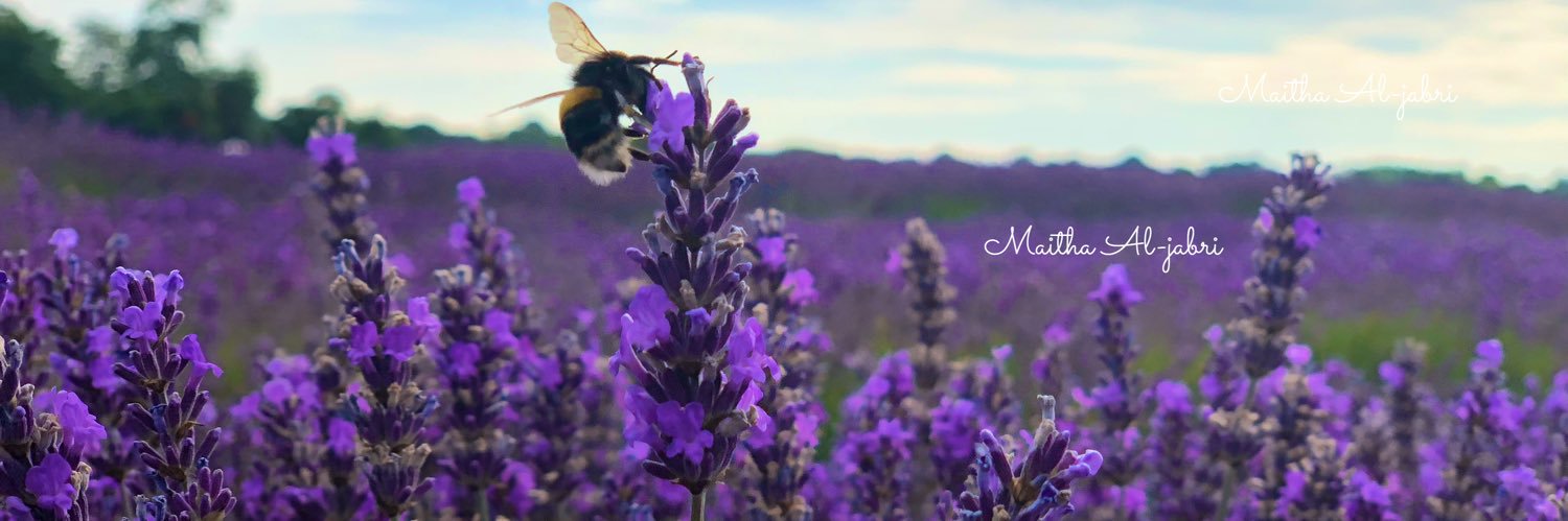 Maitha174's profile banner image