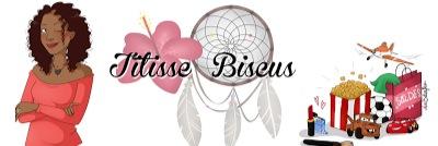 titissebiscus's profile banner image