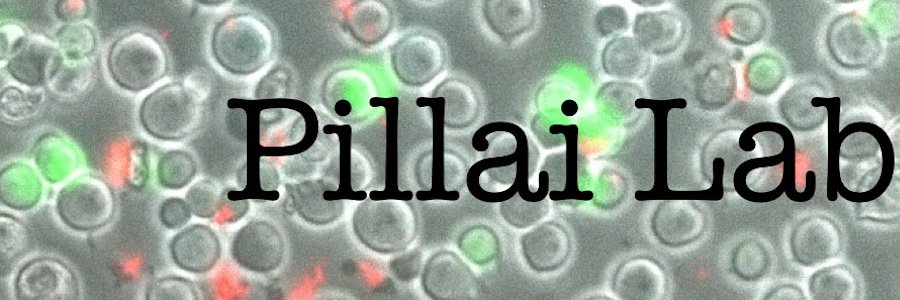 PillaiLab's profile banner image
