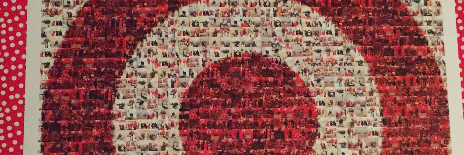 Cassandra Roma banner